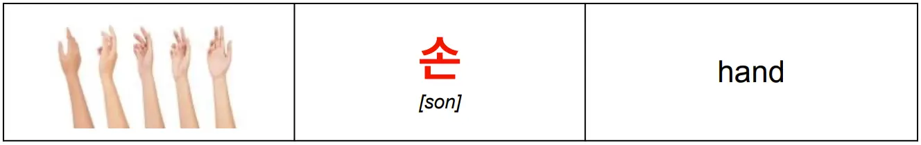korean_word_손_meaning_hand