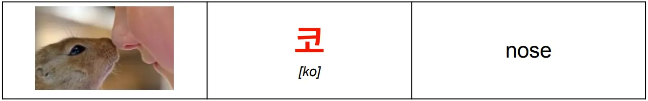 korean_word_코_meaning_nose